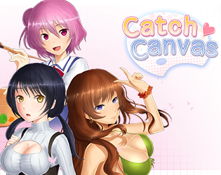 Catch Canvas cover